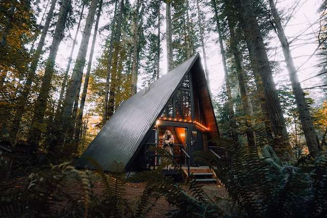 A cabin in the woods, symbolic of Airbnb bookkeeping in SD.