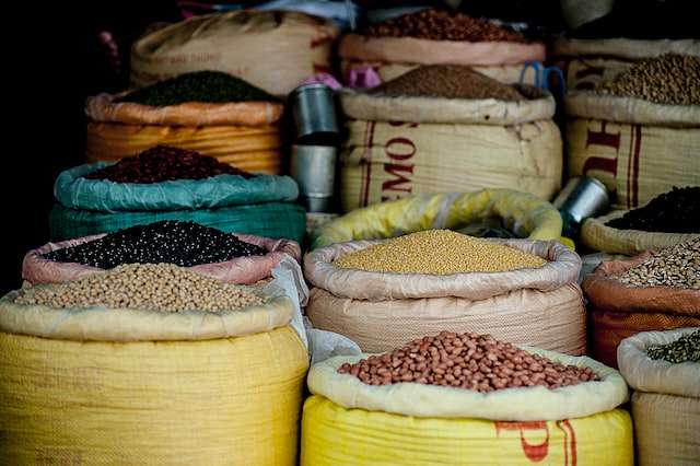 Large containers filled with various beans, symbolic of transaction categorization as a monthly bookkeeping service.